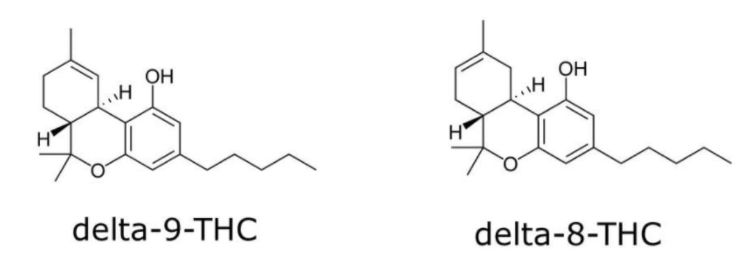 What is Delta 8? | How Delta 8 is Different from CBD