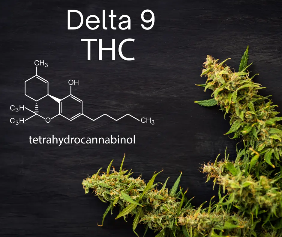Delta 9 THC